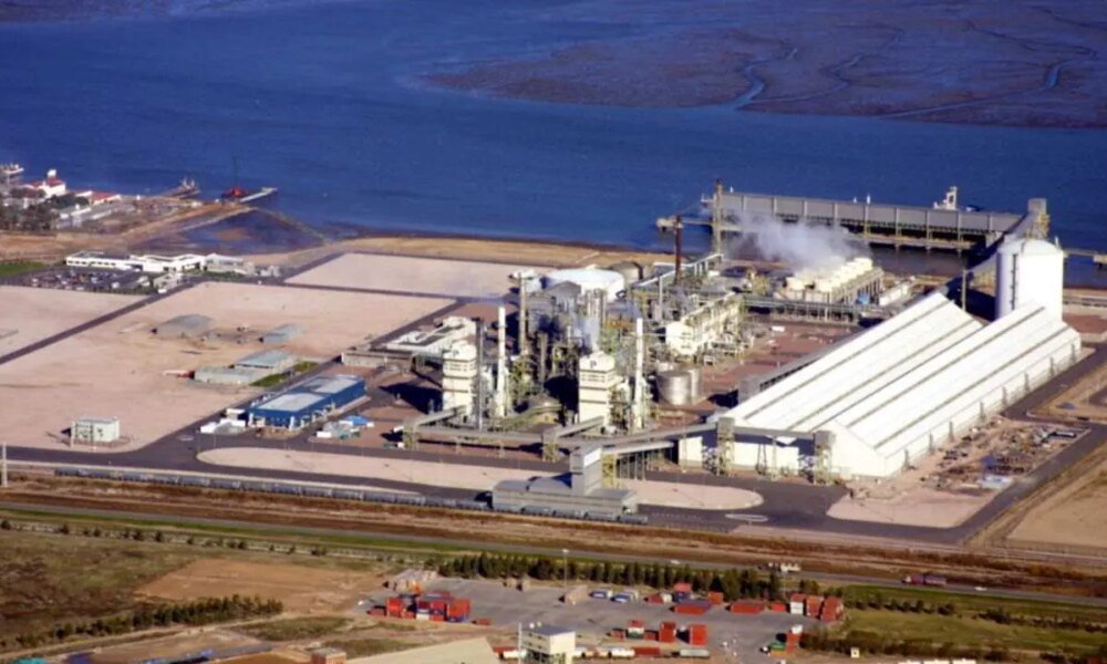 Dos empresas argentinas pagaron u$s600 millones por el 50% de Profertil ...